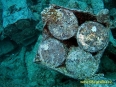 thistlegorm_2