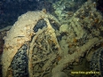 thistlegorm_5