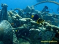 thistlegorm_8